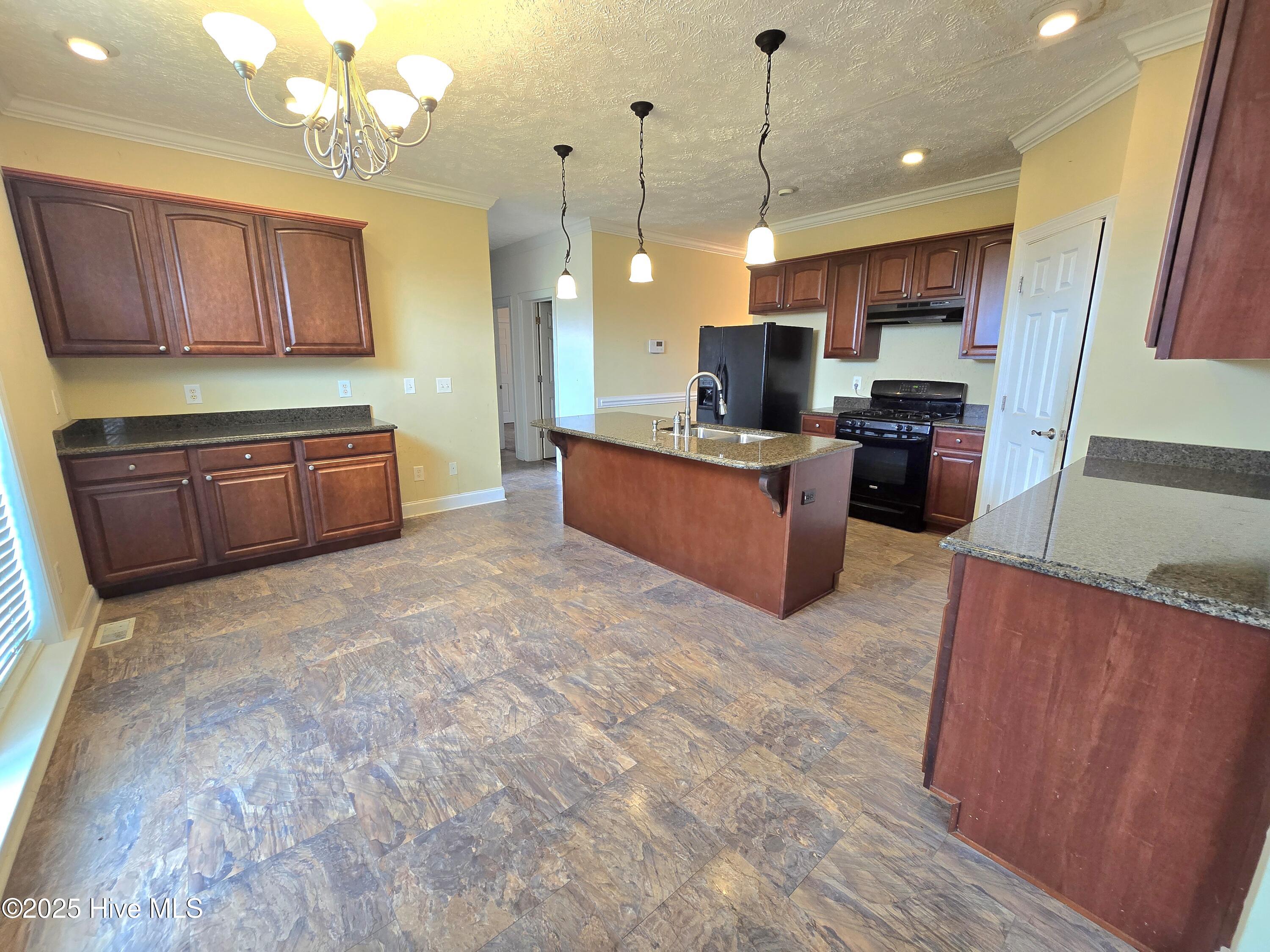 550 West Millpond Road Roper, NC 27970 - Photo 5 of 20 Kitchen