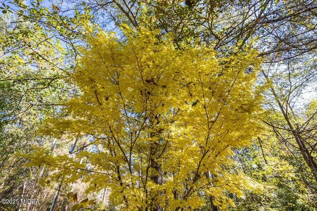 $329,900 | 337 Searcy Drive, Juliette, GA 31046