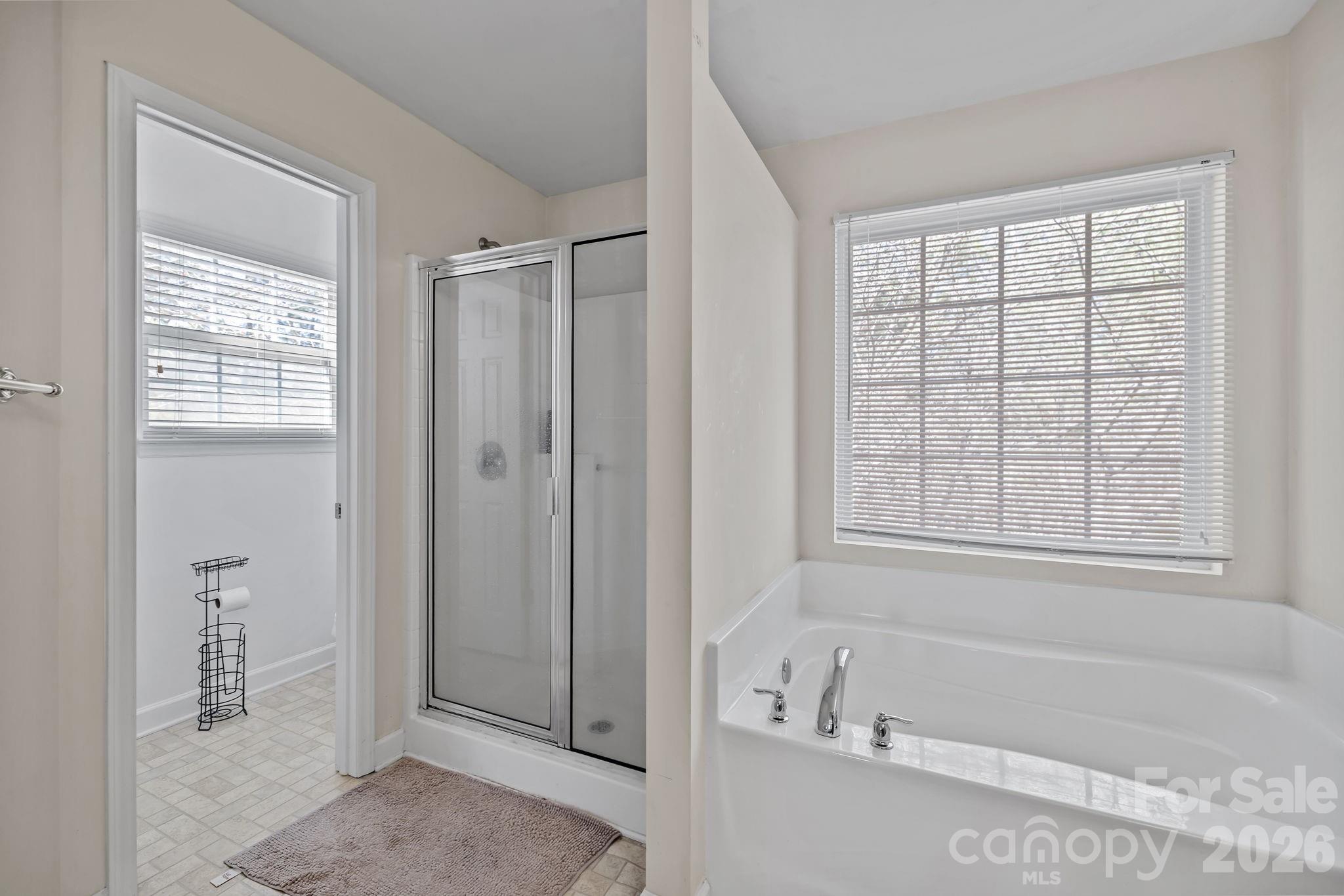 7218 Cascading Pines Drive Tega Cay, SC 29708 - Photo 18 of 47