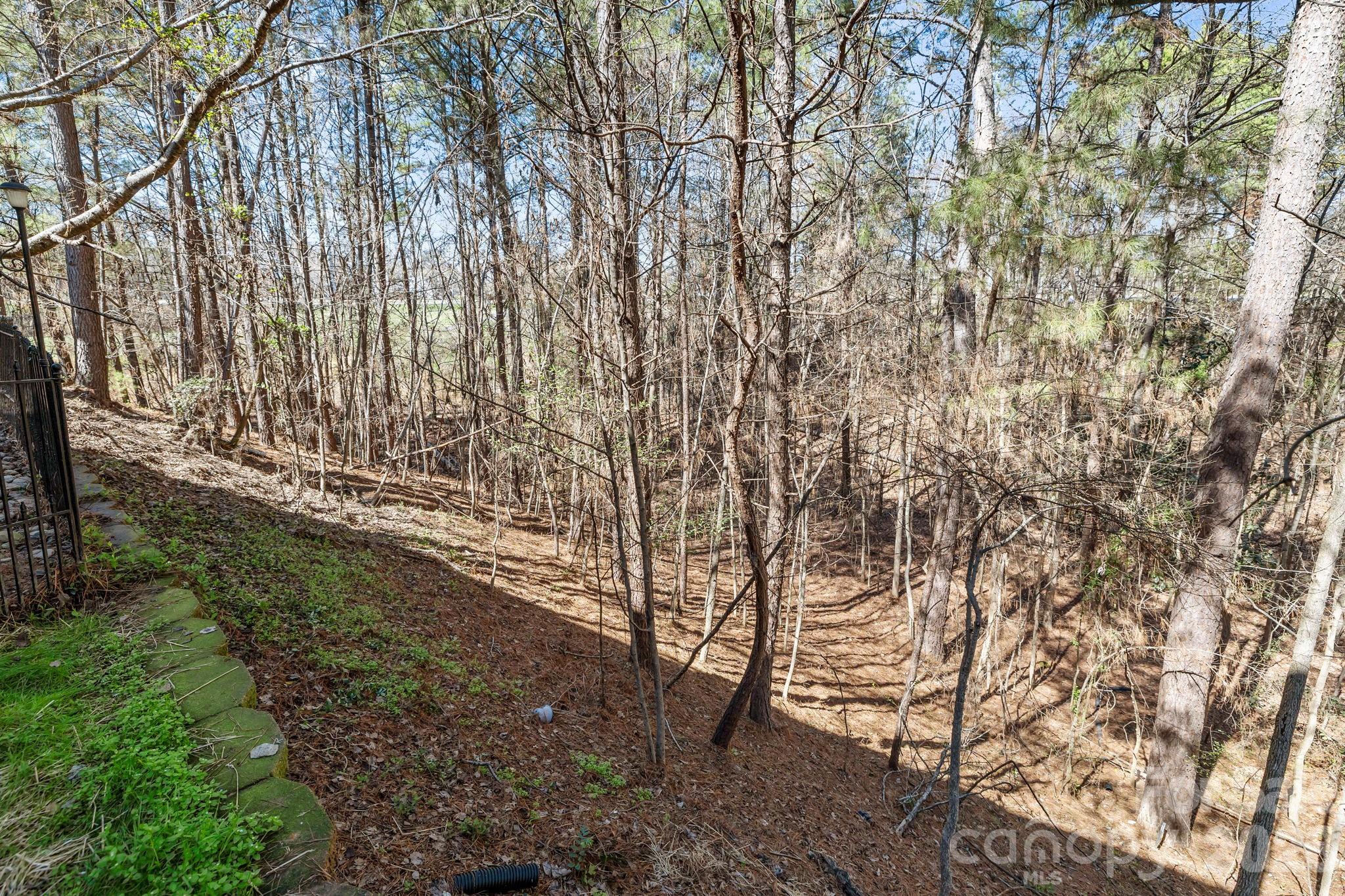 7218 Cascading Pines Drive Tega Cay, SC 29708 - Photo 31 of 47