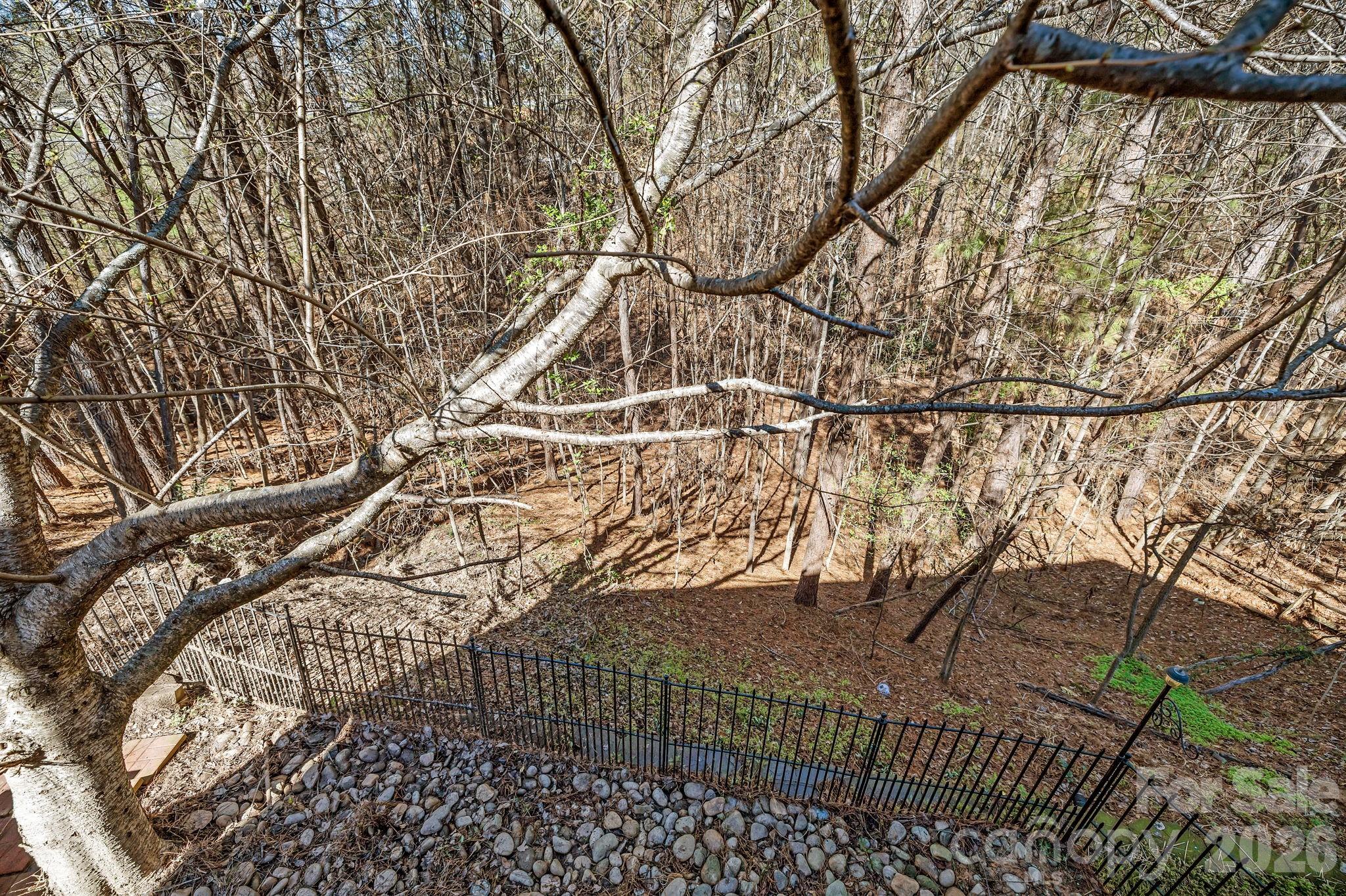 7218 Cascading Pines Drive Tega Cay, SC 29708 - Photo 42 of 47