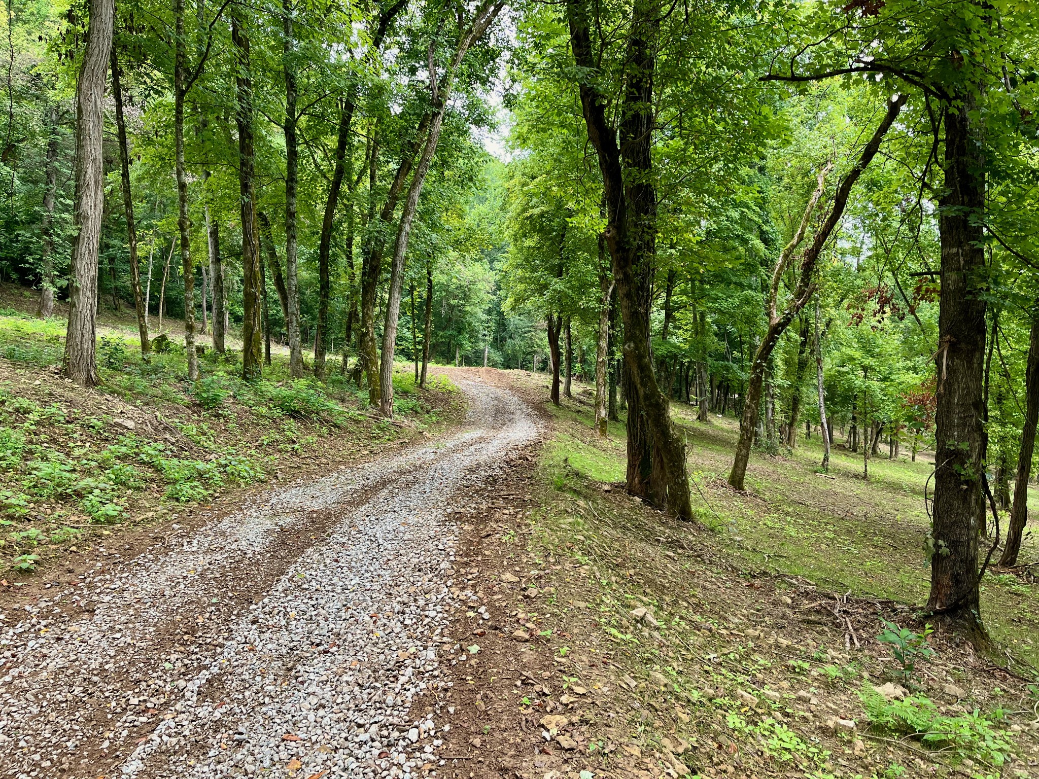 135 Dillehay Hollow Road Pleasant Shade, TN 37145 - Photo 32 of 47