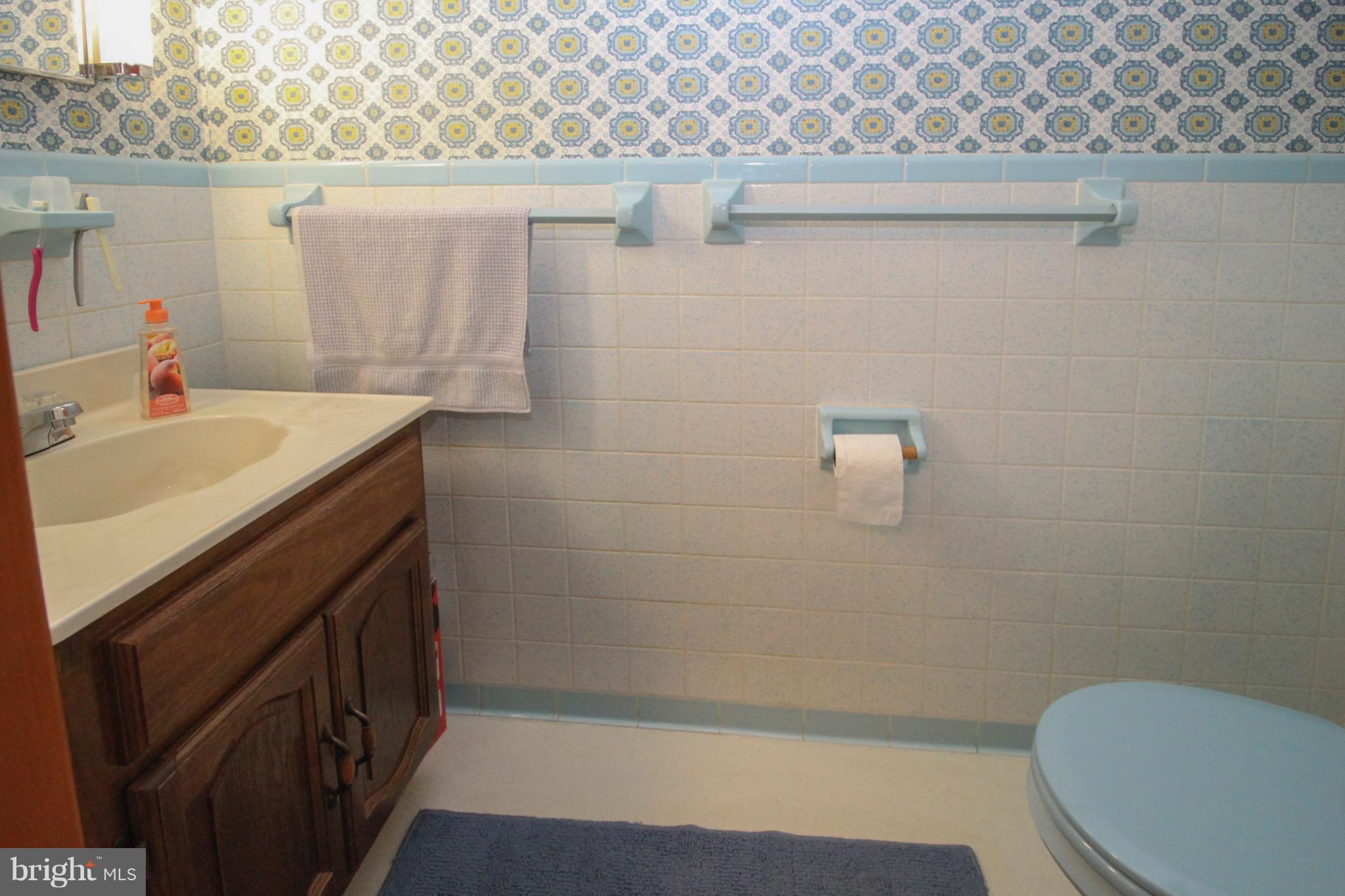 227 Hebb Road Hagerstown, MD 21740 - Photo 9 of 14 Bath (Master)