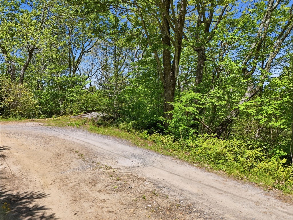 Lot #32 Snowridge Road Banner Elk, NC 28604 - Photo 8 of 20 Gallery Image 8