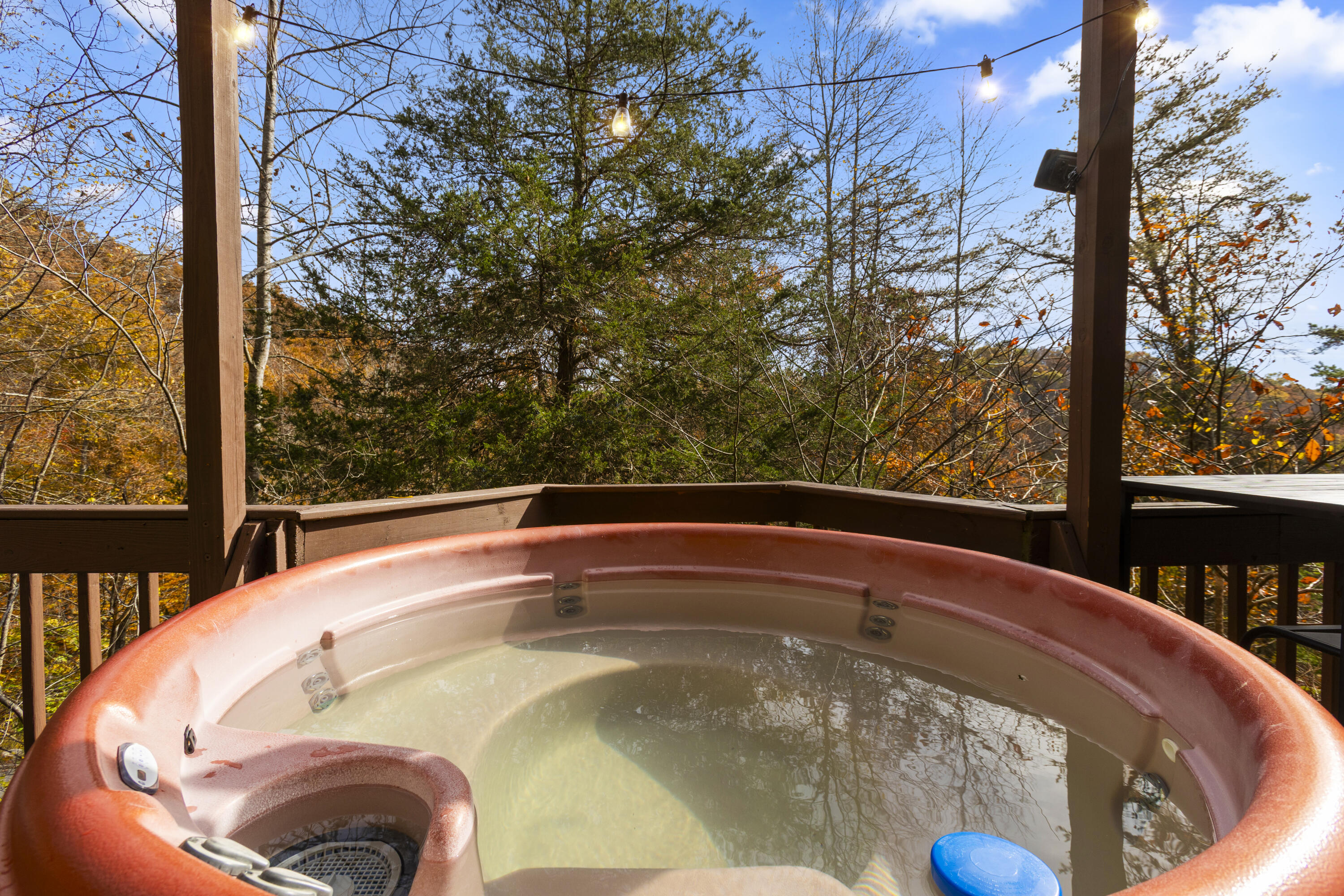 367 Robbie Ridge Road Stanton, KY 40380 - Photo 15 of 48 I82A5033