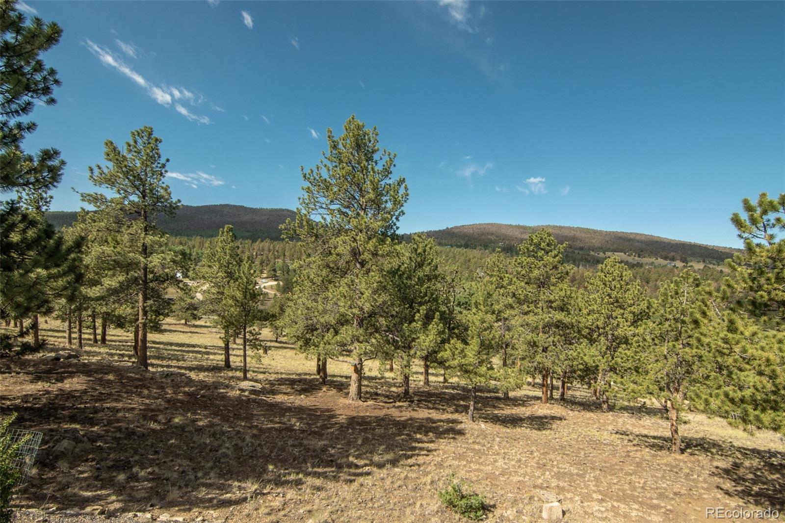 3296 Singletree Road Hartsel, CO 80449 - Photo 50 of 50 a view of a yard