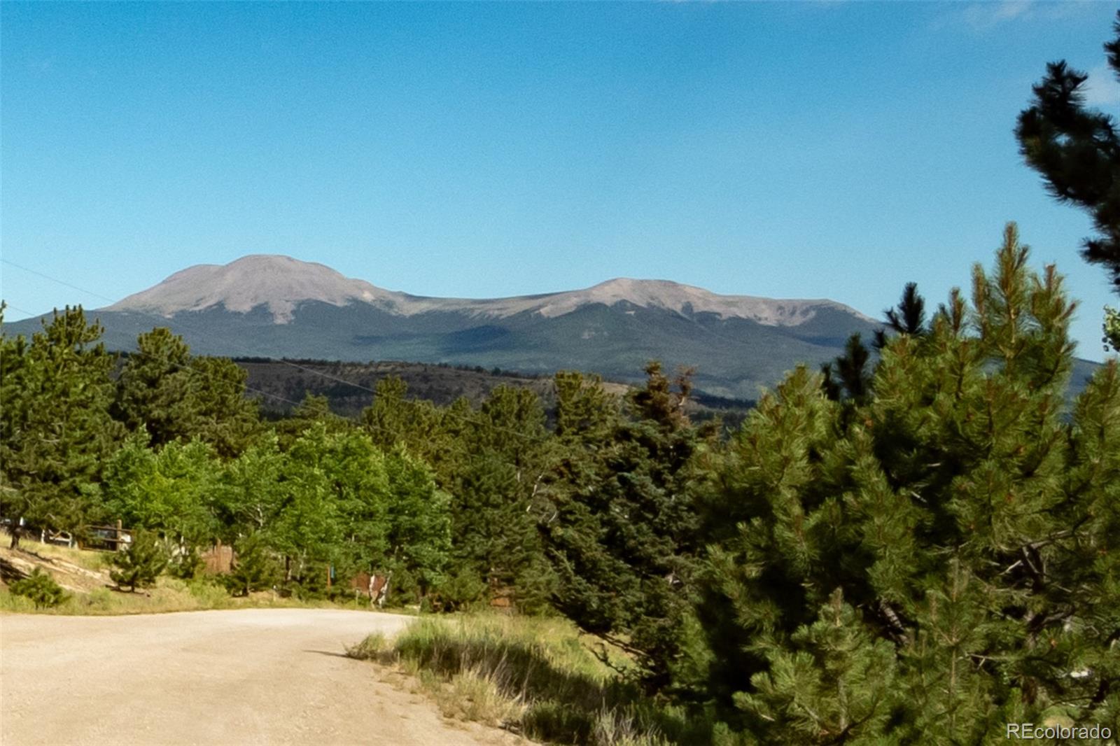 3296 Singletree Road Hartsel, CO 80449 - Photo 5 of 50 a view of a lush green field with a tree in the background