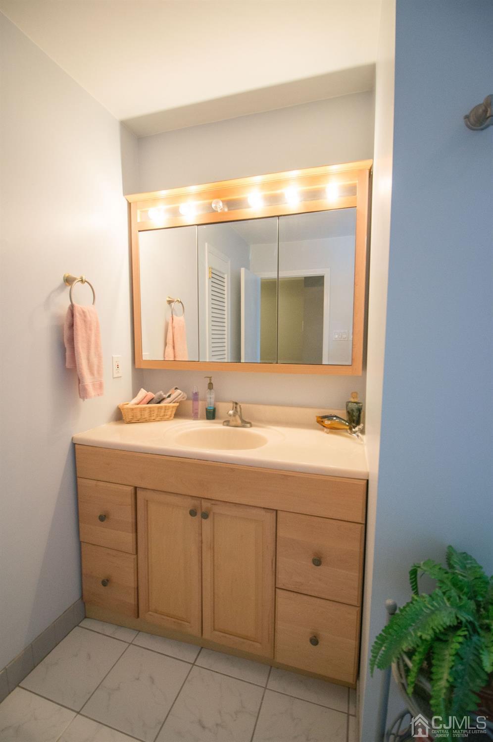 9 Library Place Edison, NJ 08820 - Photo 41 of 44 a bathroom with a double vanity sink and mirror