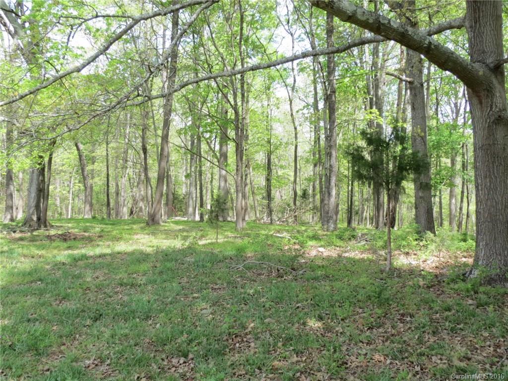 32.5-ac Gordon Road York, SC 29745 - Photo 14 of 22 Gallery Image 14