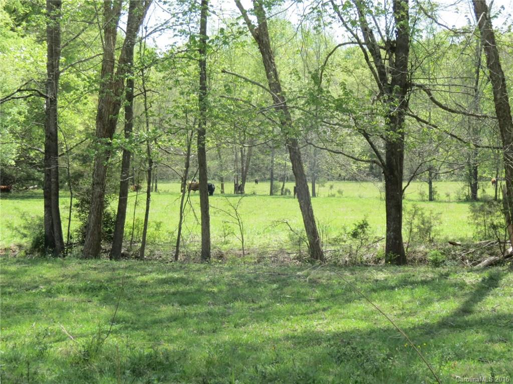 32.5-ac Gordon Road York, SC 29745 - Photo 6 of 22 Gallery Image 6