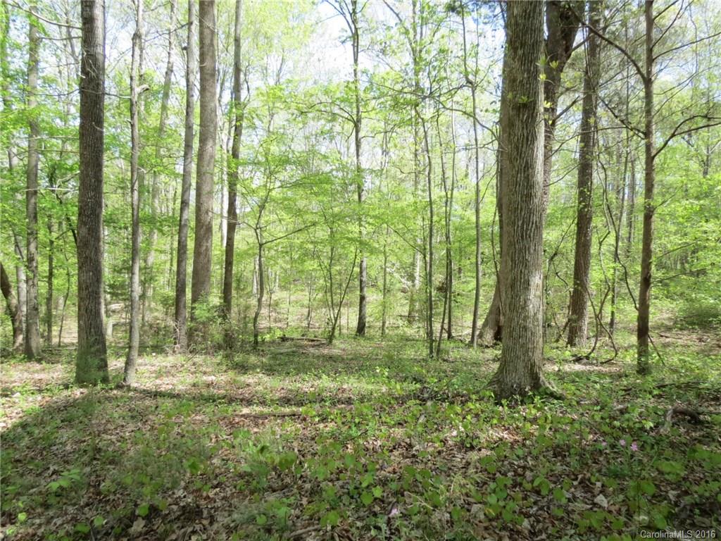 32.5-ac Gordon Road York, SC 29745 - Photo 7 of 22 Gallery Image 7