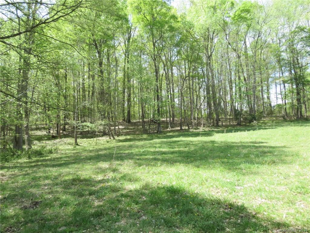 32.5-ac Gordon Road York, SC 29745 - Photo 8 of 22 Gallery Image 8