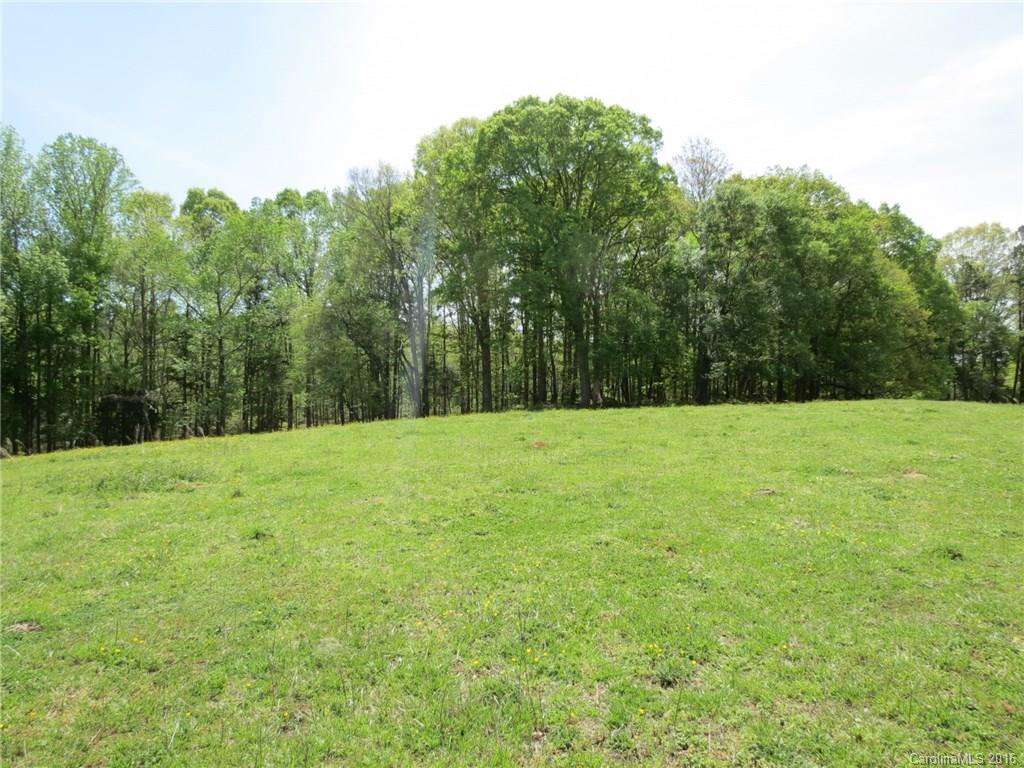 32.5-ac Gordon Road York, SC 29745 - Photo 9 of 22 Gallery Image 9