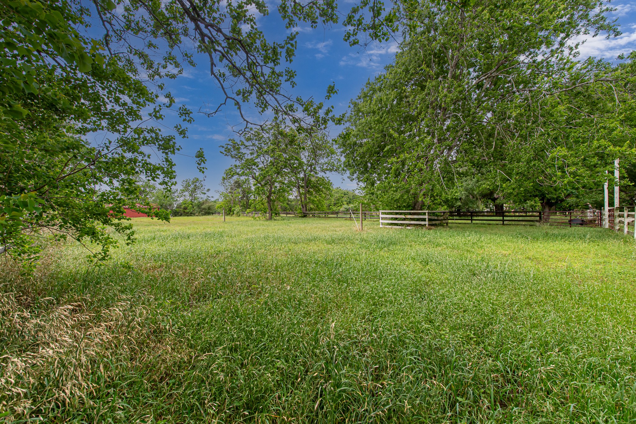 29519 Marti Road Katy, TX 77493 - Photo 41 of 46