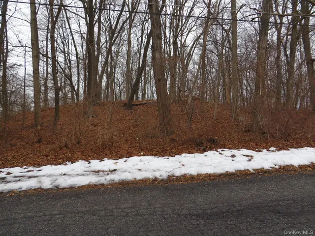 a street view covered with snow
