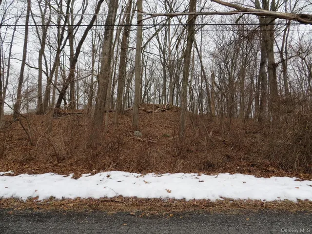 a view of a yard covered in snow