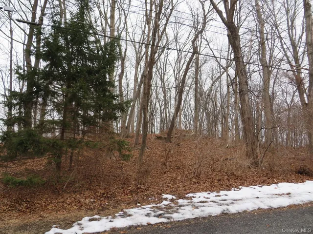 a backyard of a house with trees
