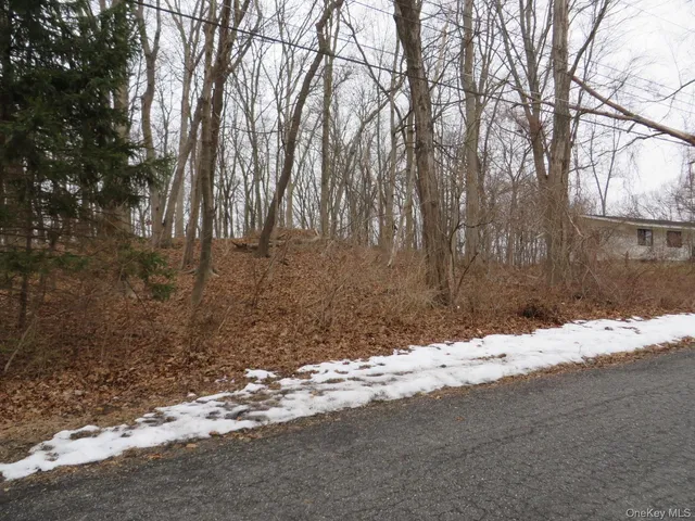 a view of dirt yard with a large tree