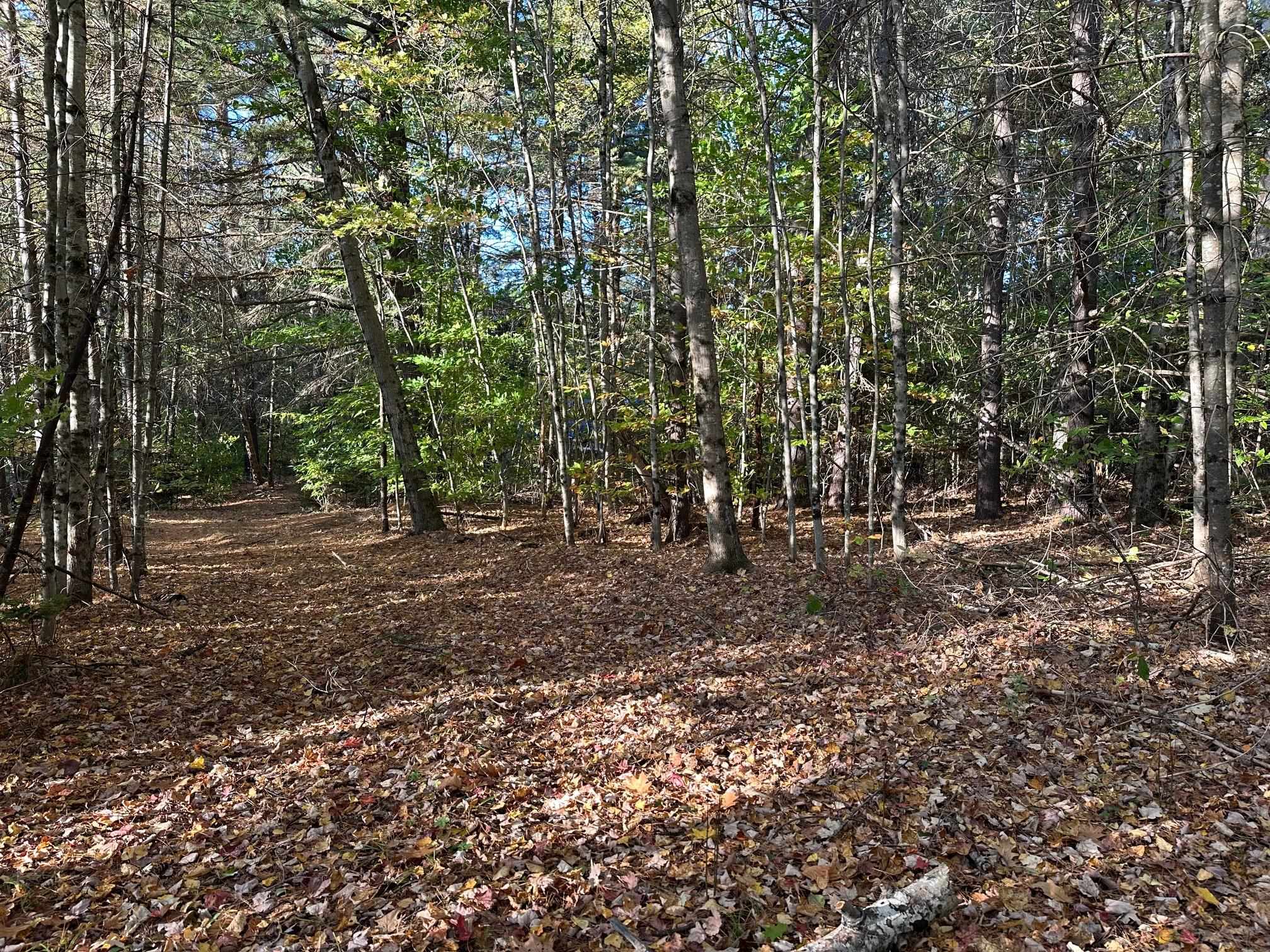 19 Sunrise Hill Road Thornton, NH 03285 - Photo 2 of 9