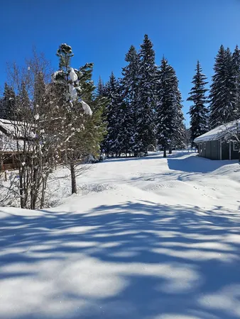 $285,000 | Tbd Divot Lane, Unit 4, McCall, ID 83638