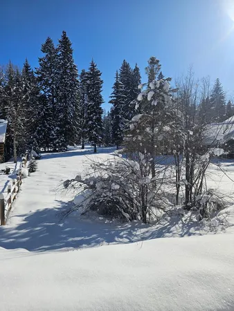 $285,000 | Tbd Divot Lane, Unit 4, McCall, ID 83638