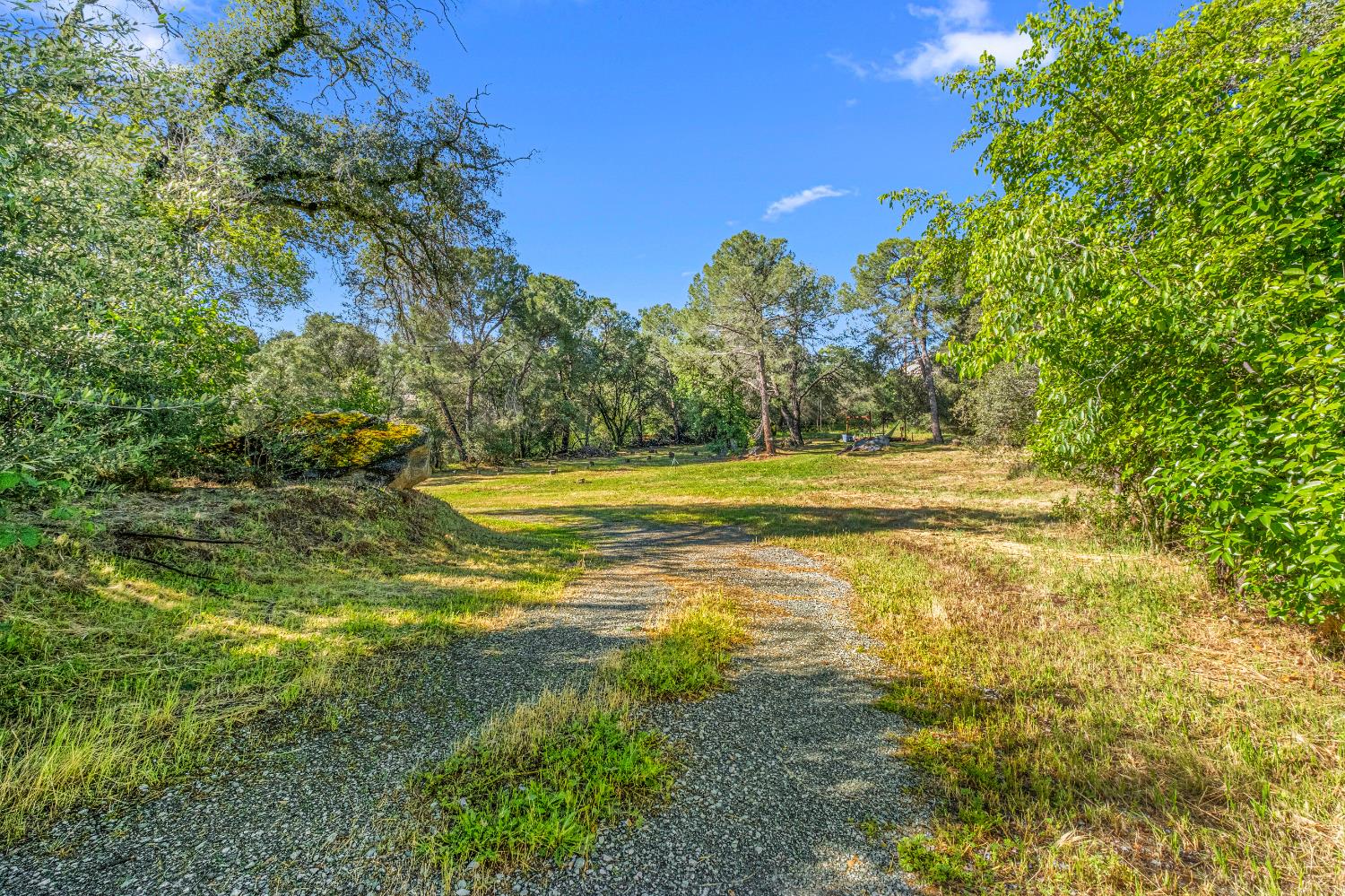 320 Taylor Road Newcastle, CA 95658 - Photo 56 of 75 a view of a yard with an outdoor space
