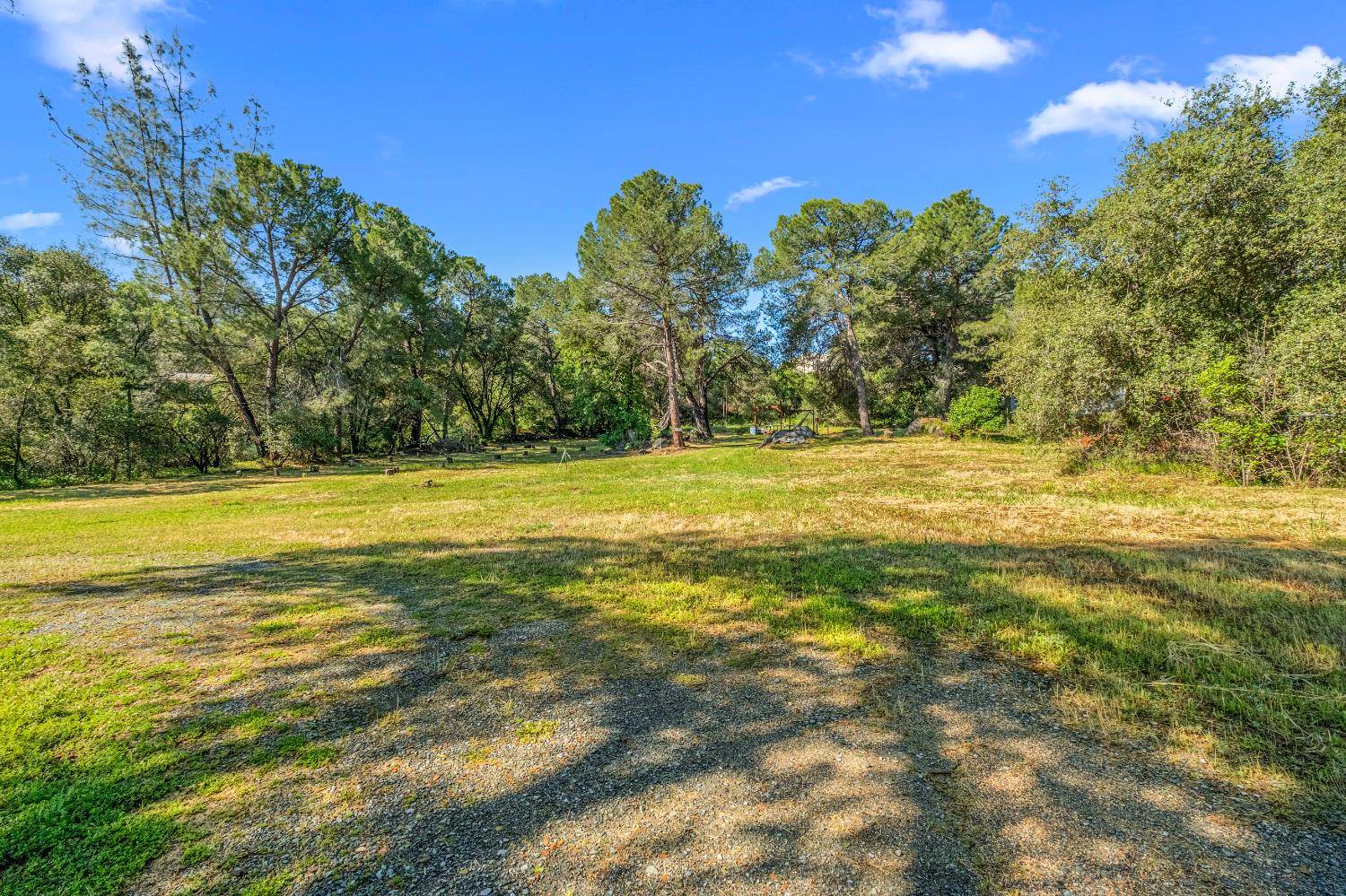 320 Taylor Road Newcastle, CA 95658 - Photo 57 of 75 a view of a yard with a house in the background