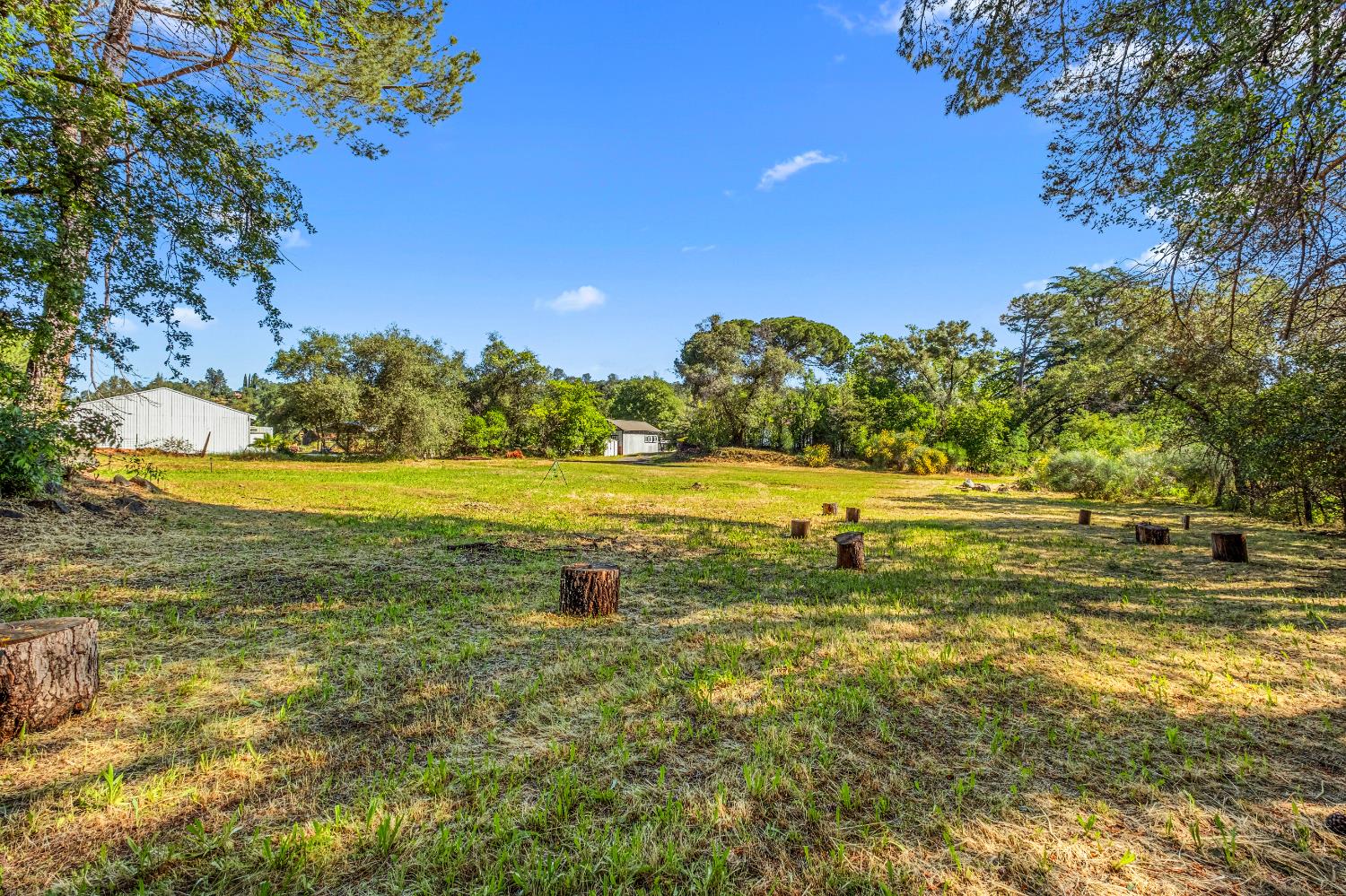 320 Taylor Road Newcastle, CA 95658 - Photo 65 of 75 a view of a lake with a yard
