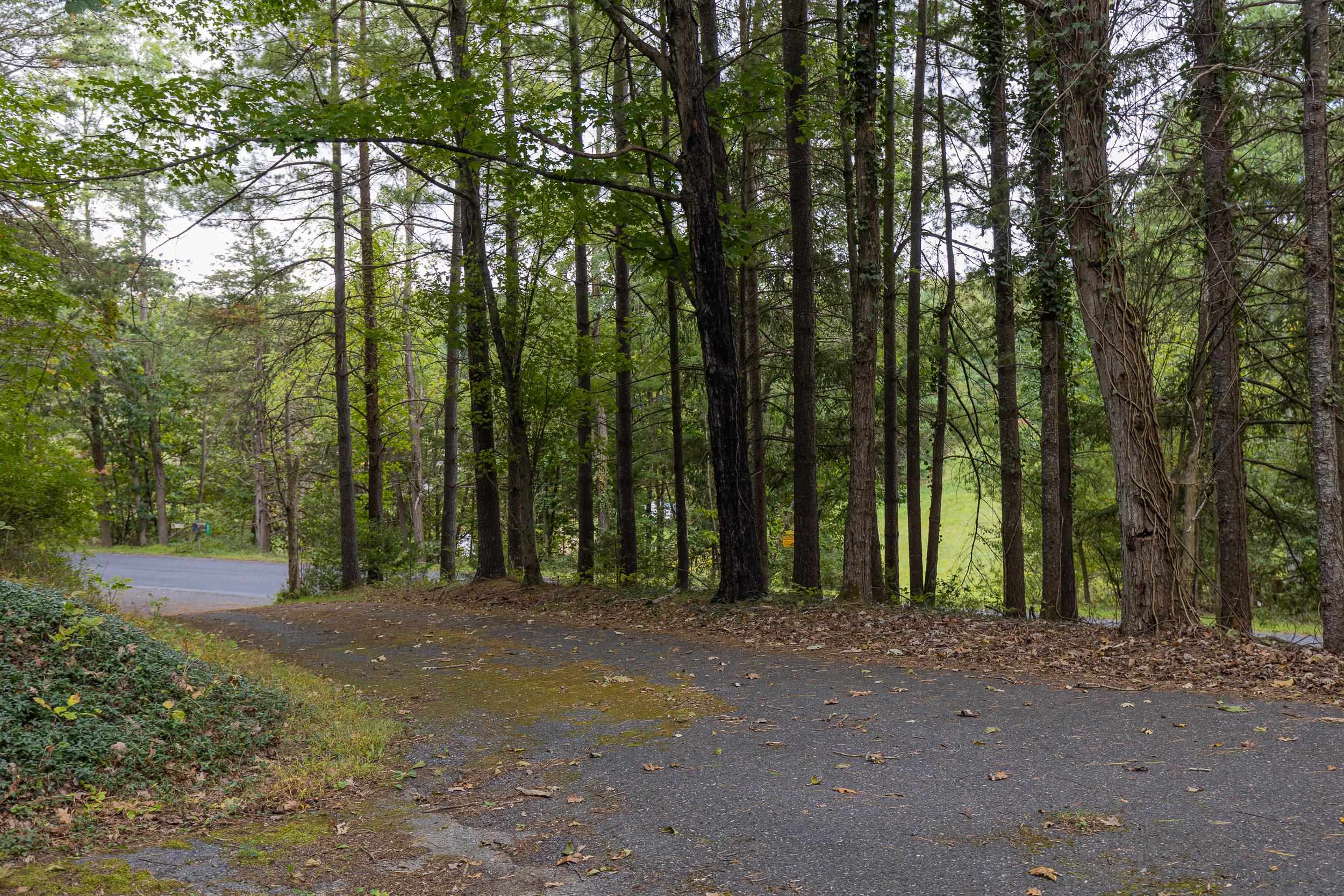 801 Union Church Road Churchville, VA 24421 - Photo 51 of 55 Gallery Image 51