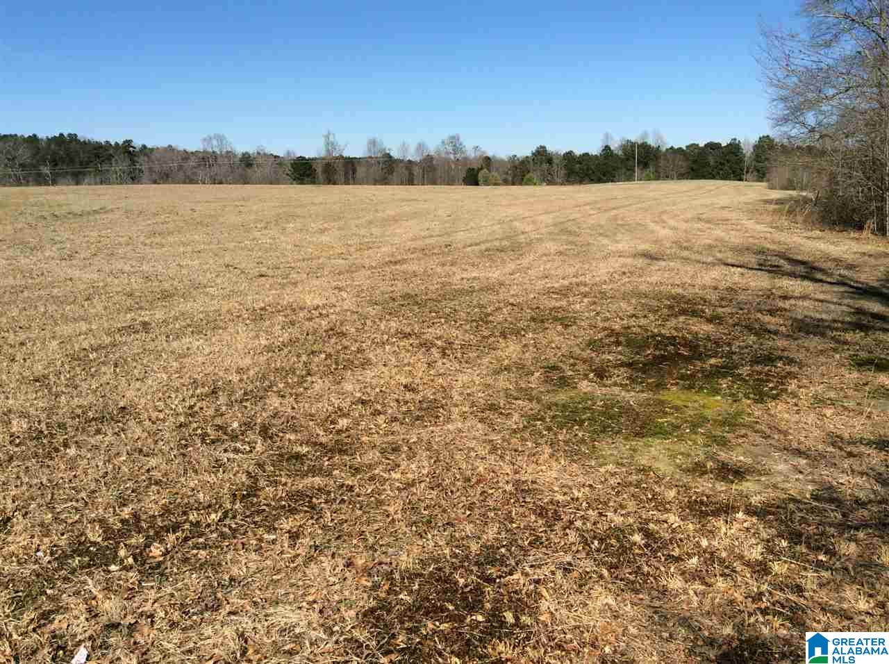 0 Coats Bend Road, Unit 1 Gadsden, AL 35901 - Photo 16 of 20