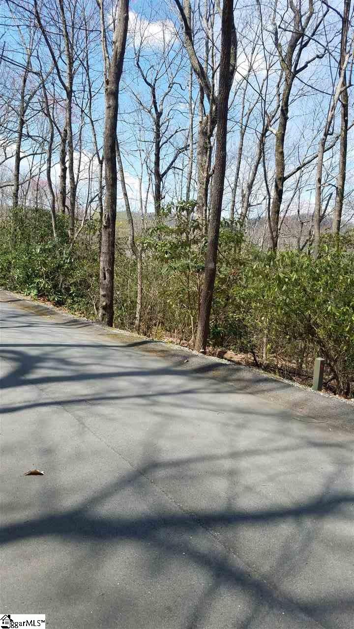 12 Chestnut Bluff Cleveland, SC 29635 - Photo 2 of 7