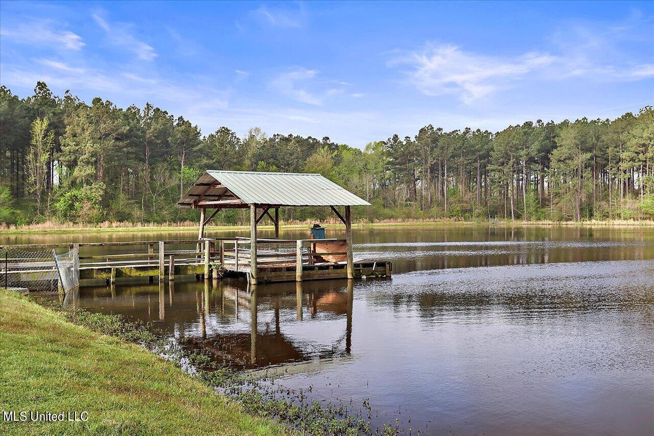 2212 Lawrence Bethel Road Lawrence, MS 39336 - Photo 1 of 54 22-2212 Lawrence Bethel Rd