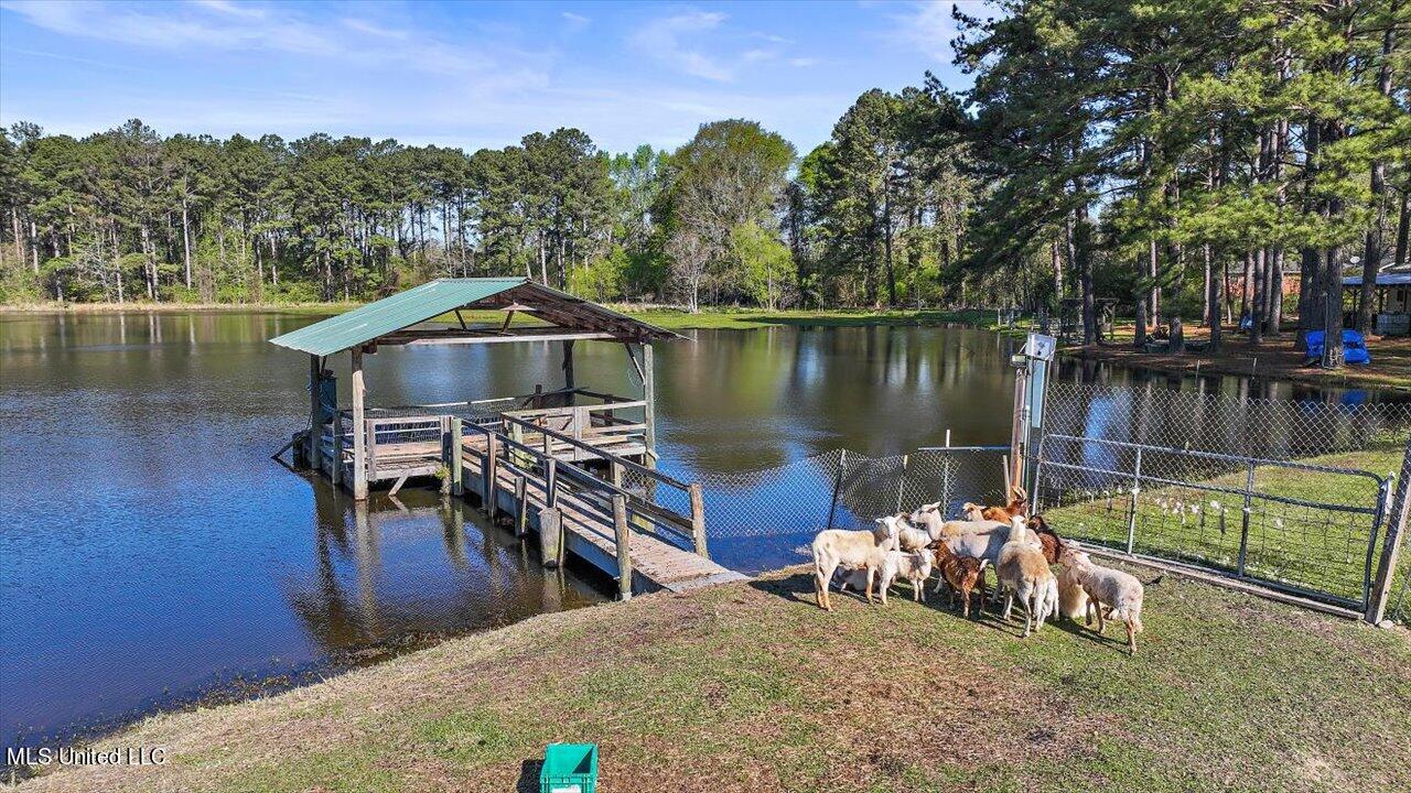 2212 Lawrence Bethel Road Lawrence, MS 39336 - Photo 28 of 54 46-2212 Lawrence Bethel Rd