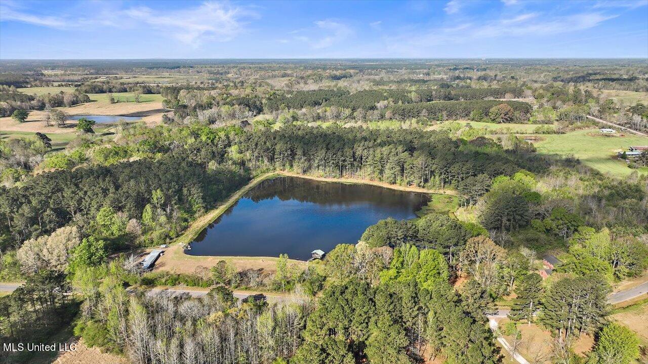 2212 Lawrence Bethel Road Lawrence, MS 39336 - Photo 6 of 54 25-2212 Lawrence Bethel Rd