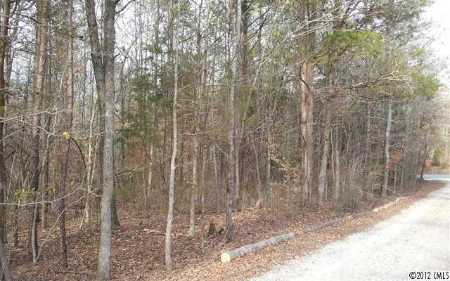 0 Walkup Road Waxhaw, NC 28173 - Photo 3 of 5