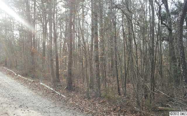 0 Walkup Road Waxhaw, NC 28173 - Photo 4 of 5