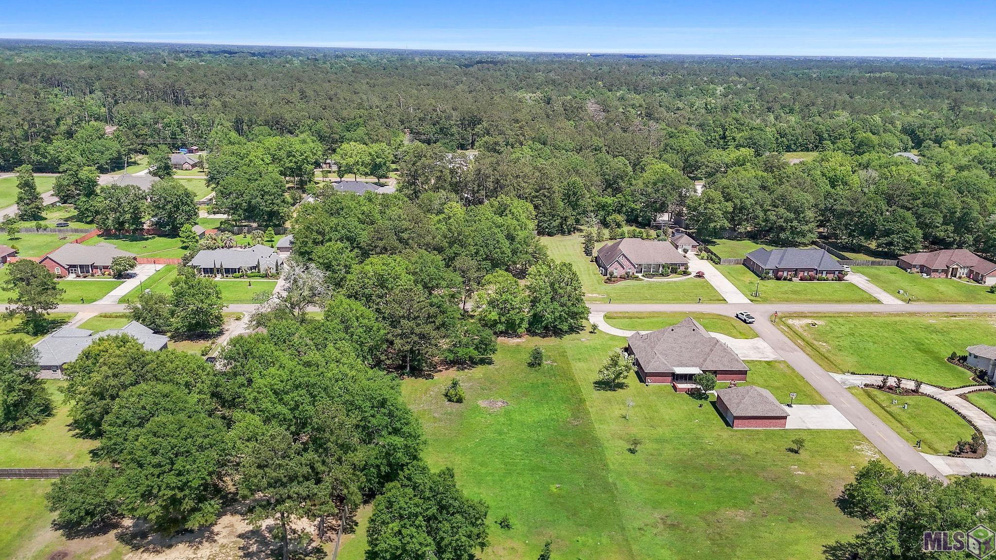 Lot 34 Ewing Lane Tickfaw, LA 70466 - Photo 3 of 6