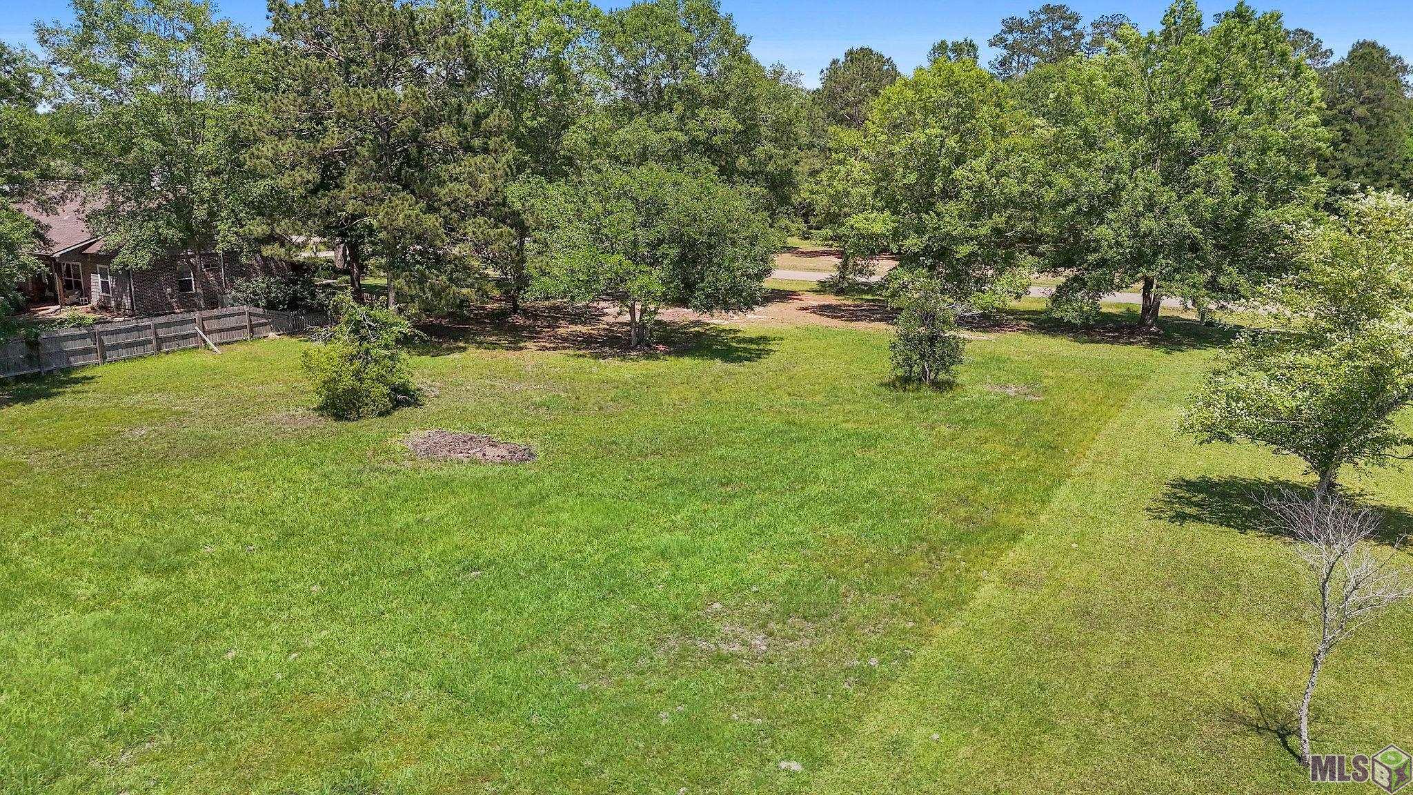 Lot 34 Ewing Lane Tickfaw, LA 70466 - Photo 4 of 6