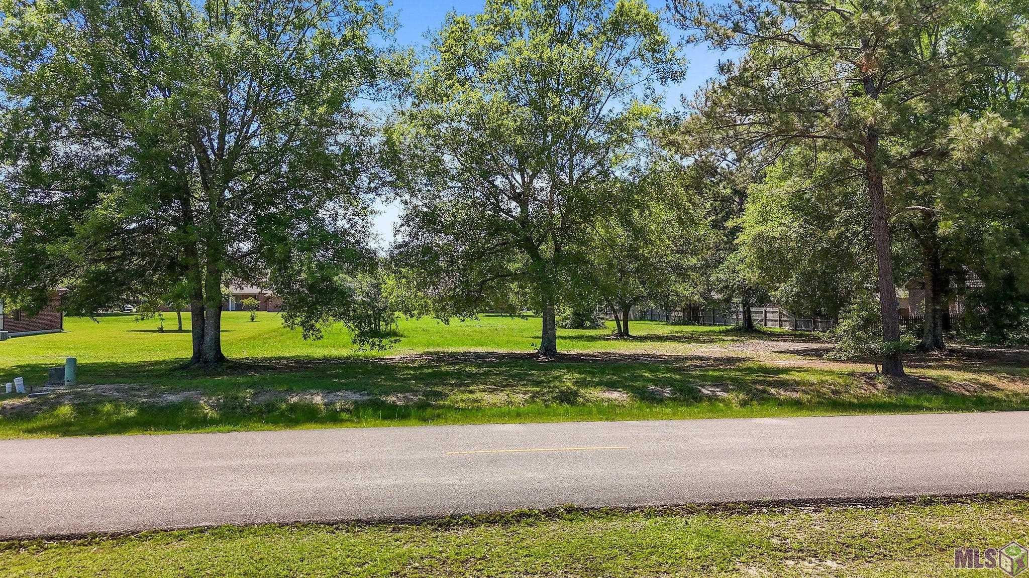 Lot 34 Ewing Lane Tickfaw, LA 70466 - Photo 6 of 6