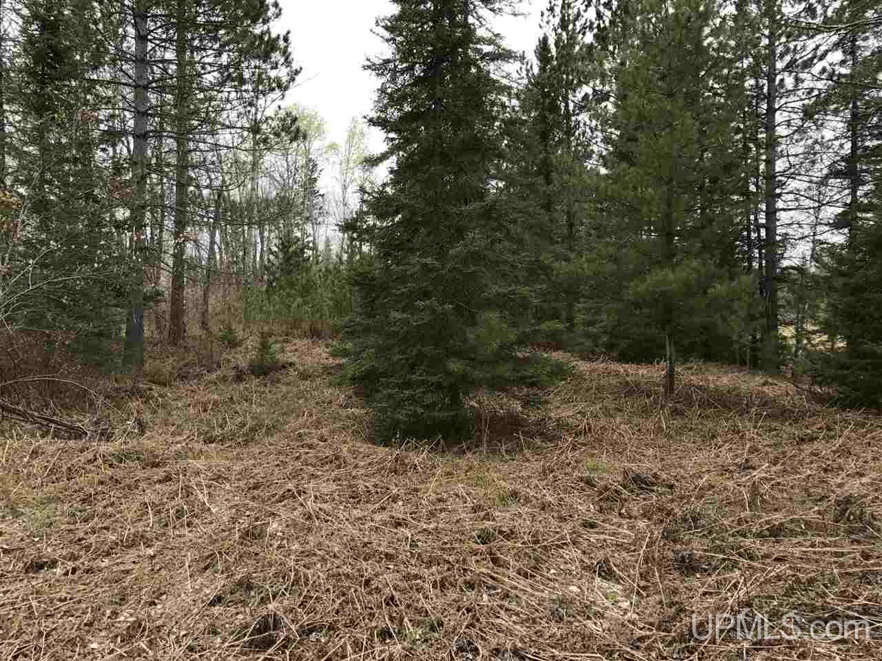 40-ac Kelso Road Crystal Falls, MI 49920 - Photo 10 of 21