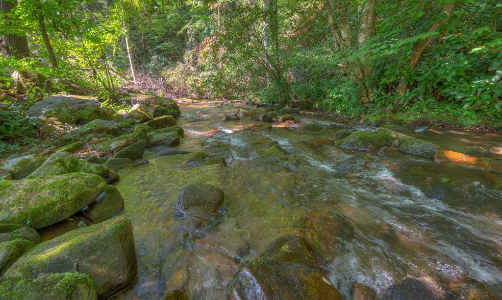 2980 Junaluska Road Andrews, NC 28901 - Photo 2 of 44 Gallery Image 2