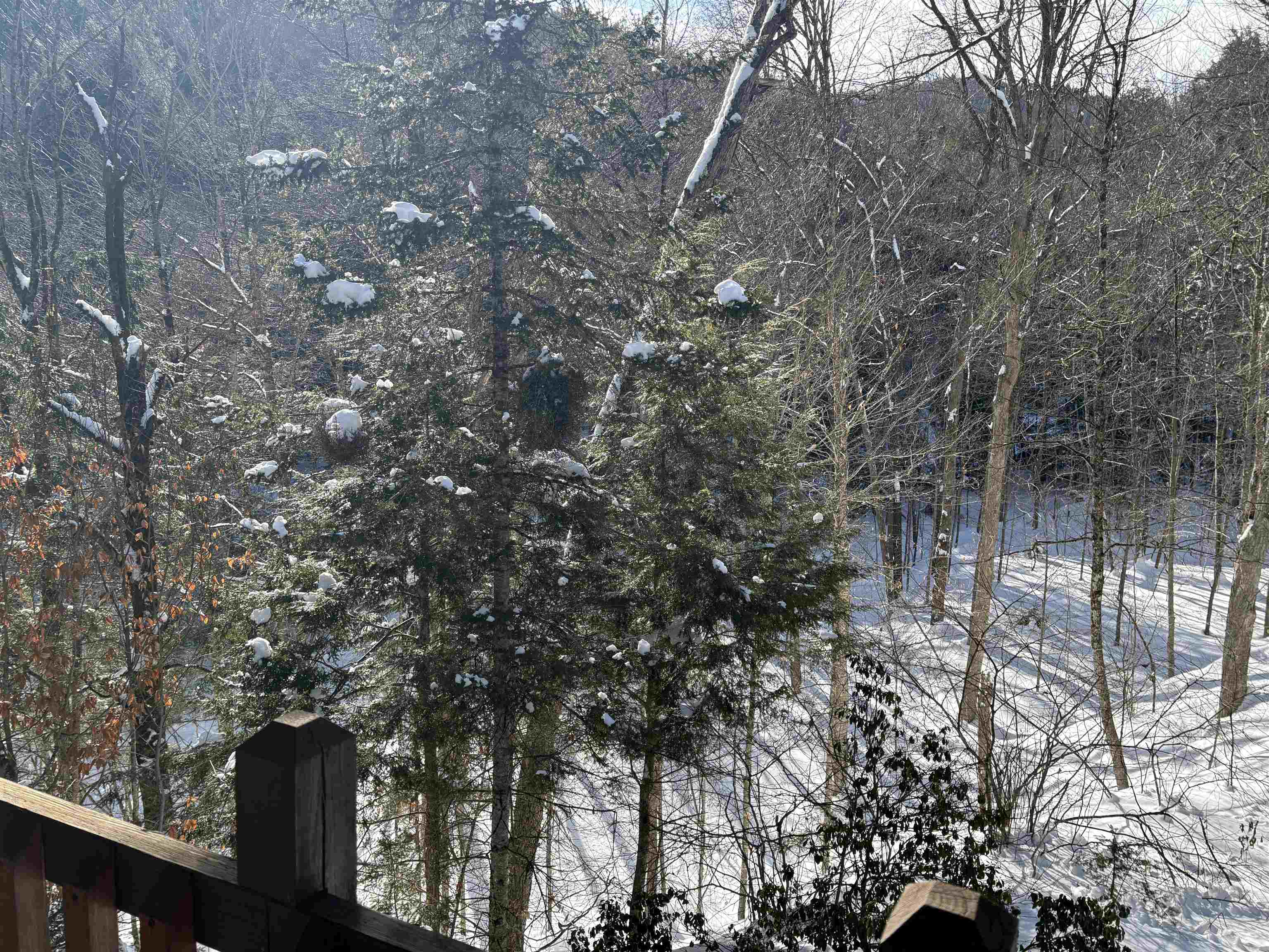 2451 Camp Brook Road Bethel, VT 05032 - Photo 44 of 54