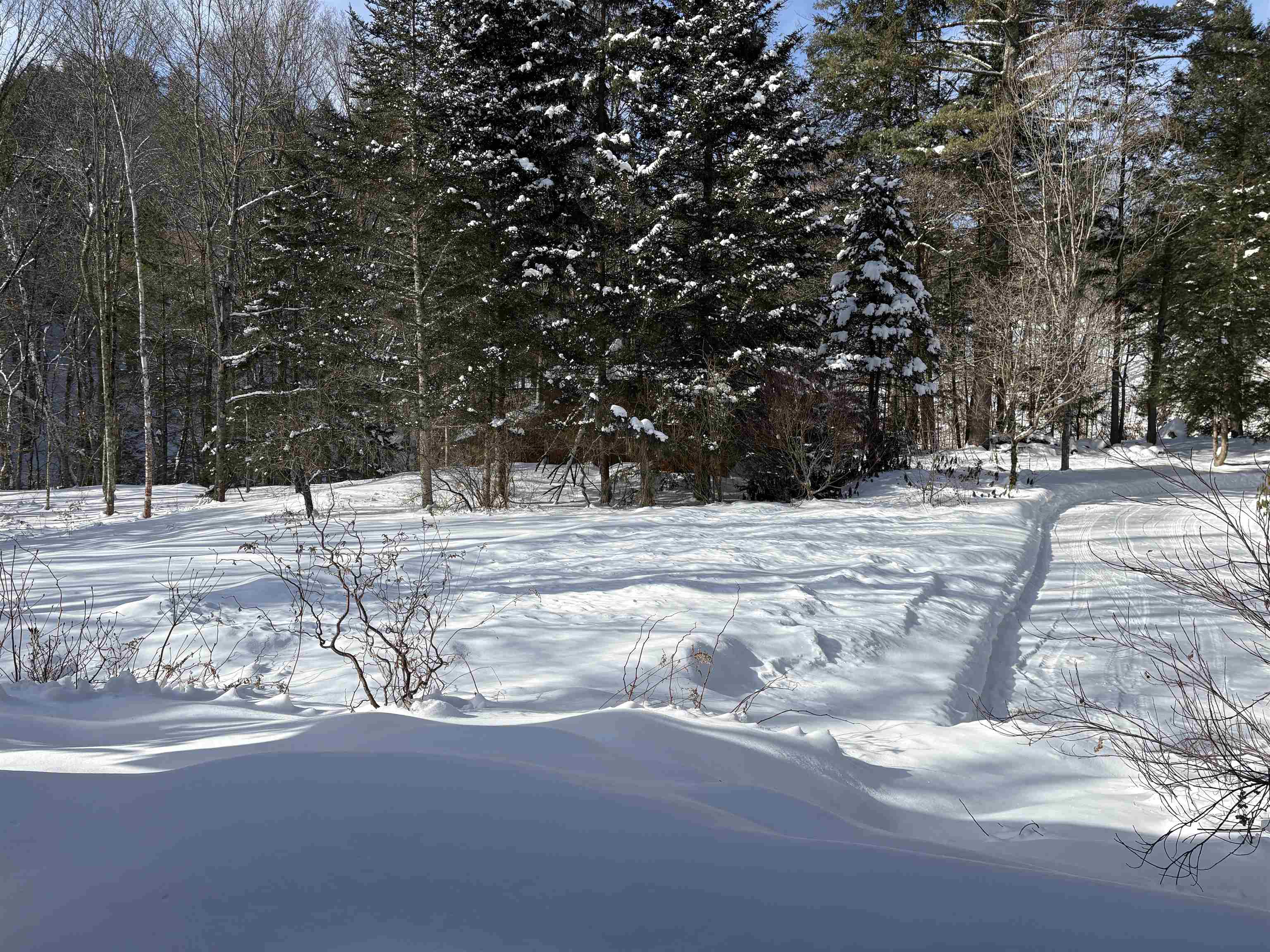 2451 Camp Brook Road Bethel, VT 05032 - Photo 10 of 54
