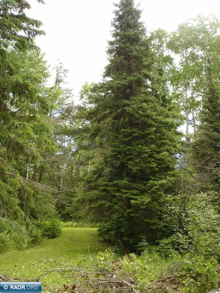 Xxxx Xxxx Rivers Road Tower, MN 55790 - Photo 12 of 12