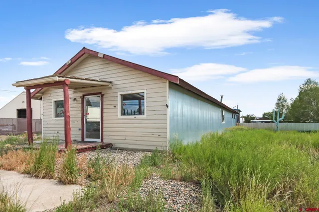 a view of a backyard with plants and a garden