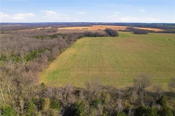 $3,869,000 | 19618 South Mullen Road, Belton, MO 64012