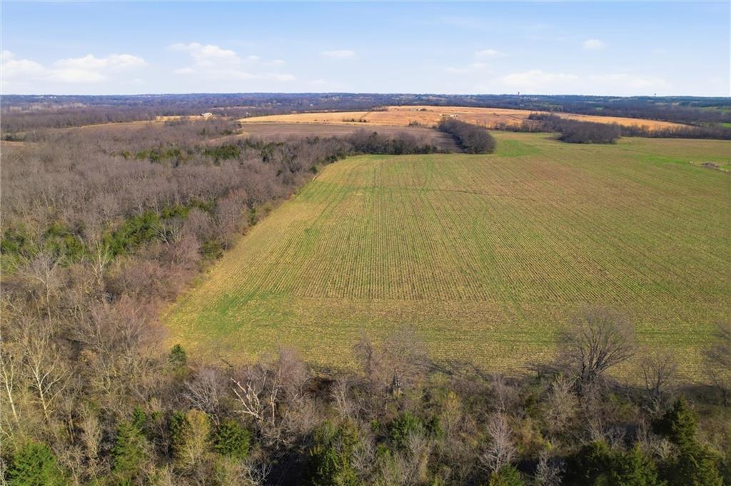 19618 South Mullen Road Belton, MO 64012 - Photo 6 of 17