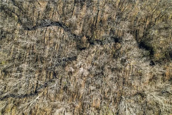 $3,869,000 | 19618 South Mullen Road, Belton, MO 64012