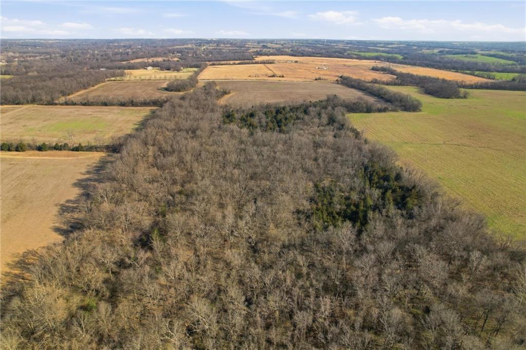 19618 South Mullen Road Belton, MO 64012 - Photo 9 of 17