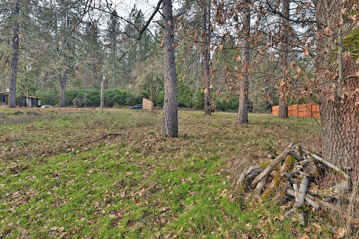 1329 West Evans Creek Road Rogue River, OR 97537 - Photo 10 of 23 a backyard of a house with lots of green space